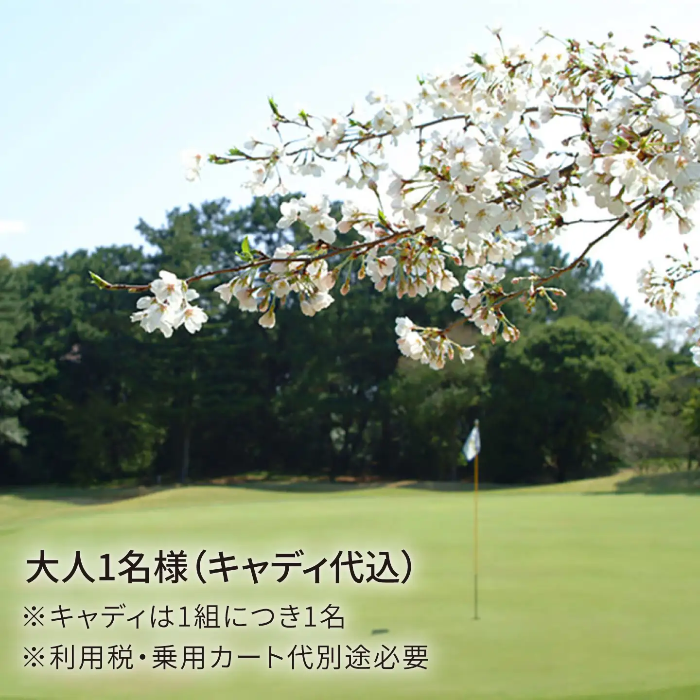 【 平日 限定 】 芥屋 ゴルフ 倶楽部 プレイ券 （ 1名 様分 ） 《糸島》 【福高観光開発株式会社】 [AEE002]