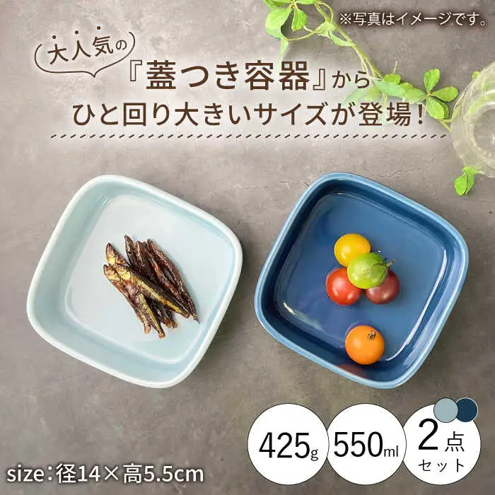 【波佐見焼】便利な蓋つき容器 大サイズ（ブルーグレー・薄瑠璃）2個セット 保存容器 食器 皿 【和山】 [WB130]  波佐見焼