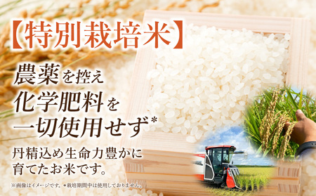 【令和7年産】特別栽培米西尾産コシヒカリ《ぬくもり》【2kg/袋×1袋】・D023-11