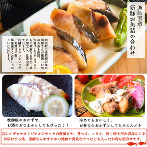 ＜漁師直送 新鮮お魚の詰め合わせ＞ 魚 さかな つめあわせ お楽しみ 8種以上 麹漬け 切り身 おかず おつまみ 下処理済み 簡単 海鮮 海産物 海鮮セット サワラ 明浜町産 二ノ宮商事株式会社 愛媛県 西予市【冷凍】『1か月以内に順次出荷予定』ANS0011