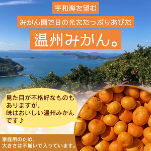 愛媛県西宇和産 でん助みかん（温州みかん）５kg ご家庭用 MDN0001