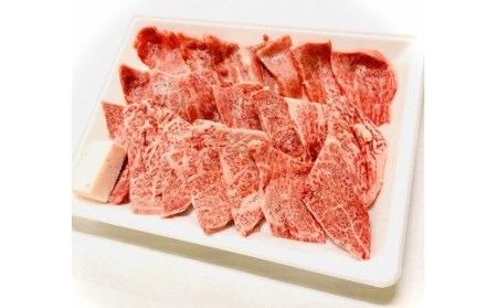 先崎畜産 新発田牛ロース 焼肉用 500g 牛ロース 牛ロース 牛ロース 牛ロース 牛ロース H10_01 