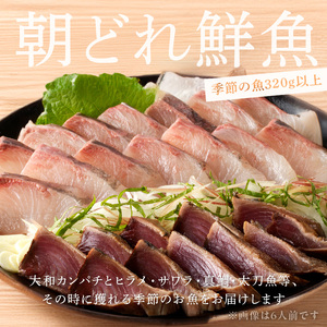【単月お届け】大和の高級お刺身　4人前【冷凍】 N072-YA2291