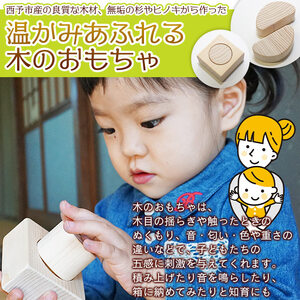 木育おもちゃ「せいよのたからばこ」西予市産杉・ヒノキ使用 SHT0001
