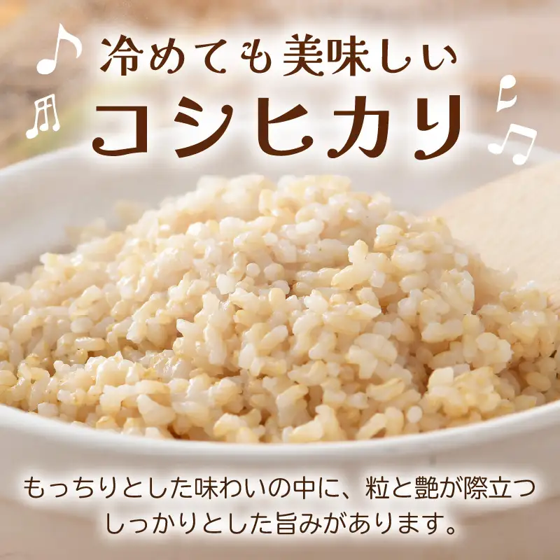 【先行予約】【令和8年産 新米】ワルツ農場のコシヒカリ 玄米 5kg 特別栽培米【納得の美味しさ】減農薬 有機肥料使用 / お米 ご飯 つや 艶 甘味 旨み あわら市 米の王様 こしひかり ブランド米 北陸 あわら市産 福井県産 ※2026年10月下旬以降発送予定 [aw046-a008]