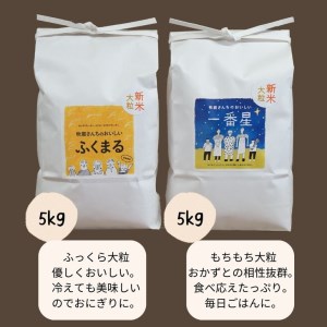 令和4年産　あきばさんちのおいしい大粒のおこめ２種（精米5kg×２袋）計10kg_CR01
