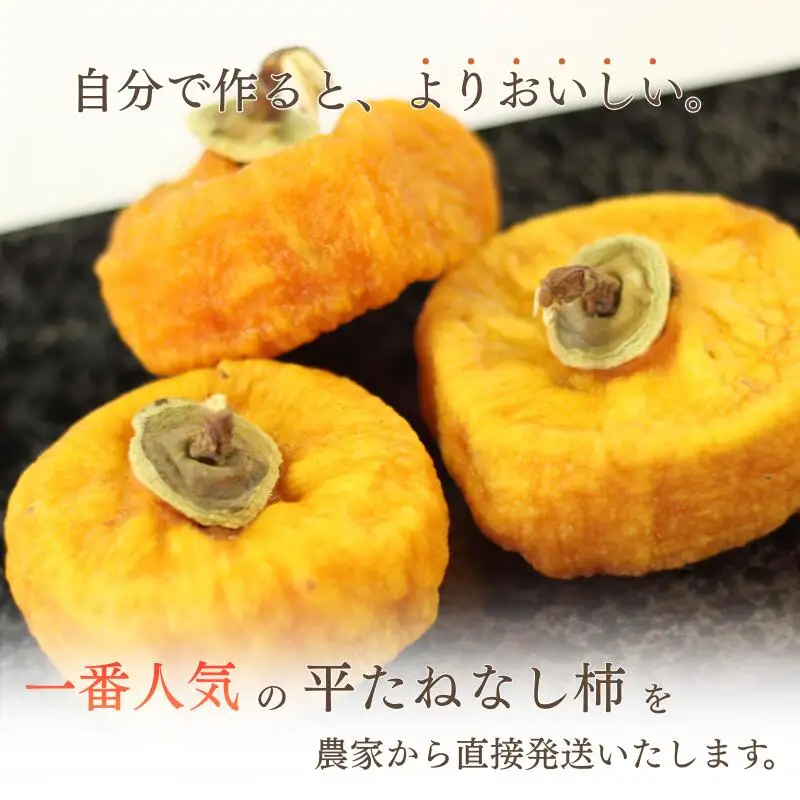 甘さが違う！とっても甘くなる生渋柿（平たねなし柿）あんぽ柿用 T軸枝無 約1.5～2kg　6～12玉＜2026年10月中旬～順次発送＞【art018B】