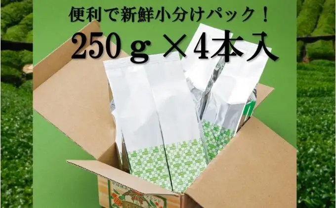 宇治抹茶入深蒸し煎茶1kg3ヵ月毎４回コース(250g×4袋×４回) (緑茶