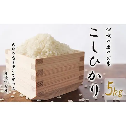 ≪令和8年産≫ ほたるの集う田んぼの米 こしひかり 約5kg