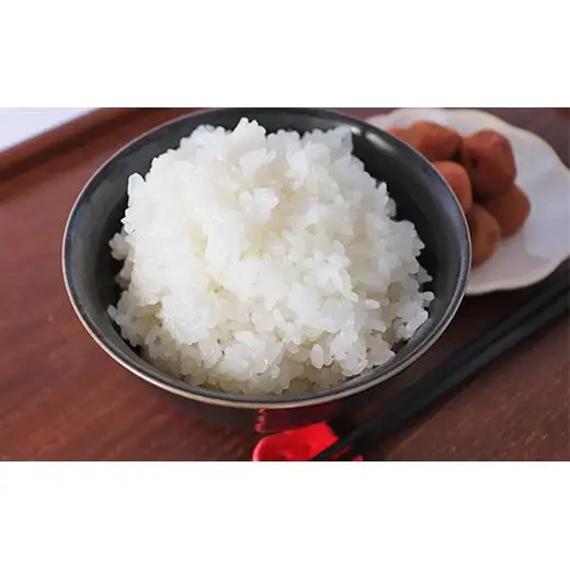 ≪令和8年産≫ ほたるの集う田んぼの米 こしひかり 3ヵ月定期便