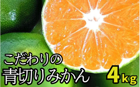 【先行予約】＼有機質肥料100%／ こだわりの青切りみかん 約4kg サイズ混合 【2026年9月～10月に順次発送予定】【nuk142C】