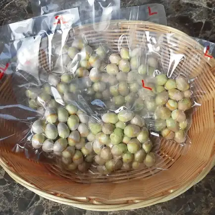 《先行予約》2026年 山形県産 グリーン銀杏 むき実 L 約700g(100g×7) 2026年9月中旬から順次発送 銀杏 ぎんなん おつまみ 秋 野菜 期間限定 F20A-734