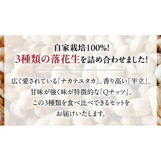 【2025年11月以降発送】牛久市産落花生3種食べ比べ大小3袋セット