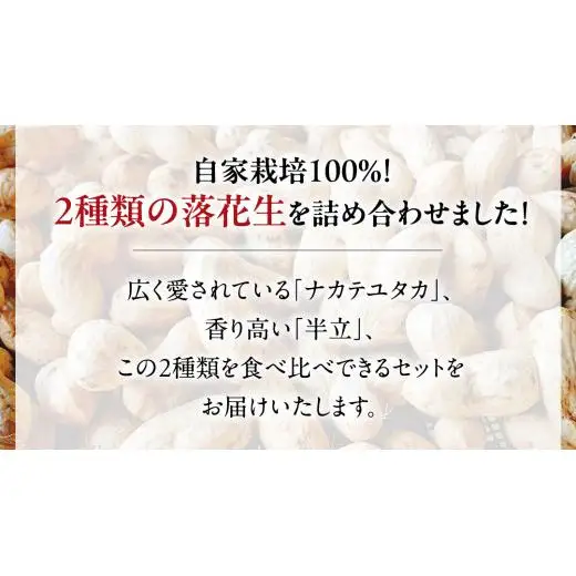 牛久市産 落花生 半立セット