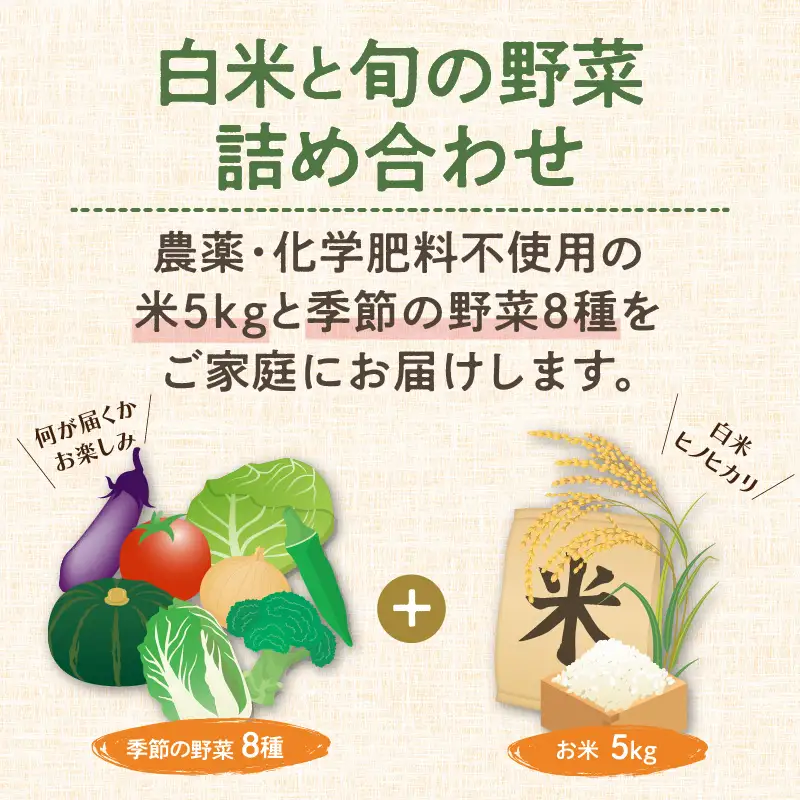 農業姉妹がこだわって栽培！白米5kgと旬の野菜詰め合わせ8種【024D-011】