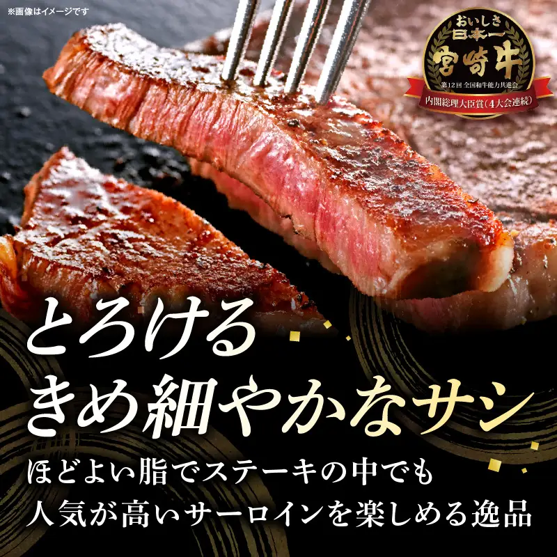 牛肉 ステーキ 牛肉[宮崎牛 サーロイン 1kg]