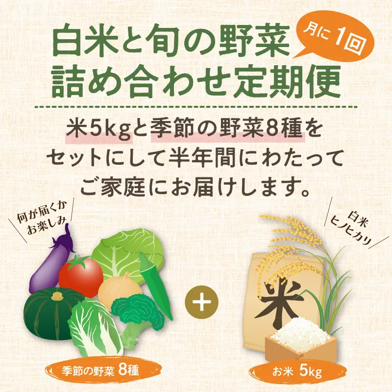 農業姉妹がこだわって栽培！白米5kgと旬の野菜詰め合わせ8種 半年定期便【024A-028】
