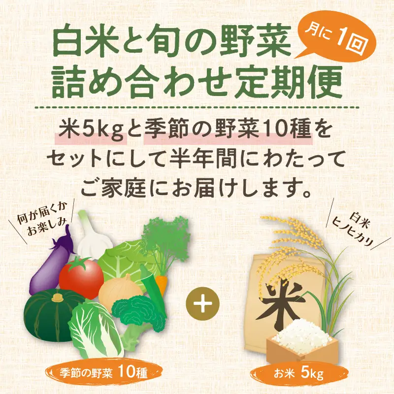 農業姉妹がこだわって栽培！白米5kgと旬の野菜10種 半年定期便【024A-030】