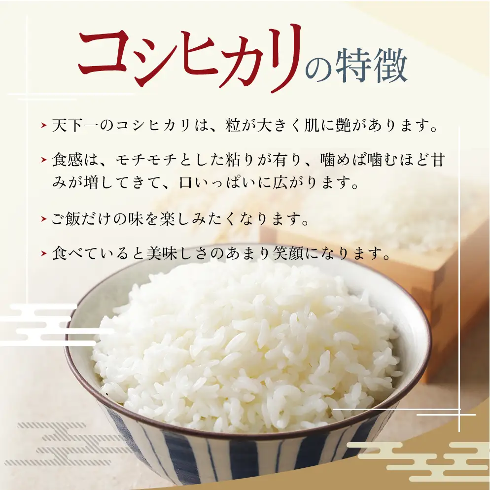 定期便 魚沼産 天下一コシヒカリ（商標） 3kg 本当に旨い飯に おかずはいらない 魚沼産 コシヒカリ お米 精米 3キロ 全3回( 米 お米 こめ コメ おこめ 白米 こしひかり ) 