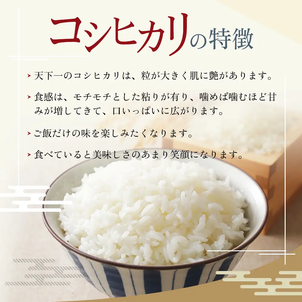 定期便 魚沼産 天下一コシヒカリ（商標） 3kg 本当に旨い飯に おかずはいらない 魚沼産 コシヒカリ お米 精米 3キロ 全6回( 米 お米 こめ コメ おこめ 白米 こしひかり )