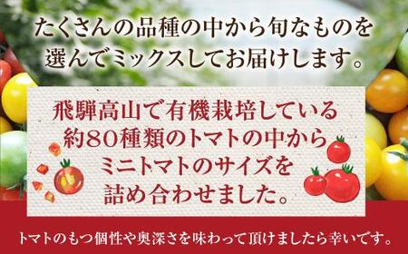 【2026年夏】飛騨高山産 有機栽培 トマト「彩り トマト」 1kg |  JC007