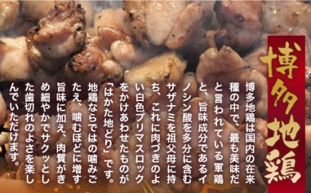 鶏肉 博多地鶏 スパイス焼き 900g モモ ムネ 各450g