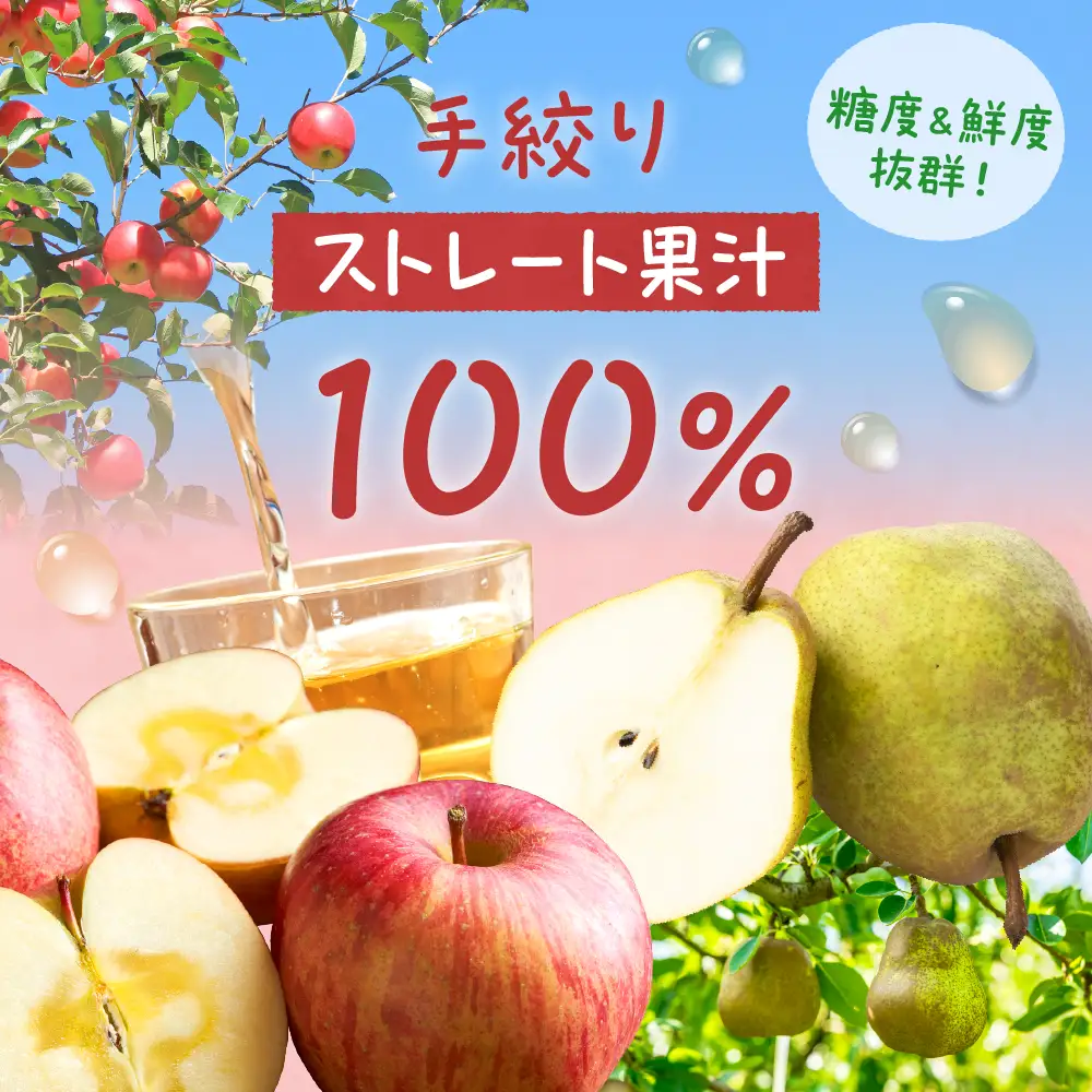 ジュース 手絞り りんご ラフランス ジュース 3本セット ジュース