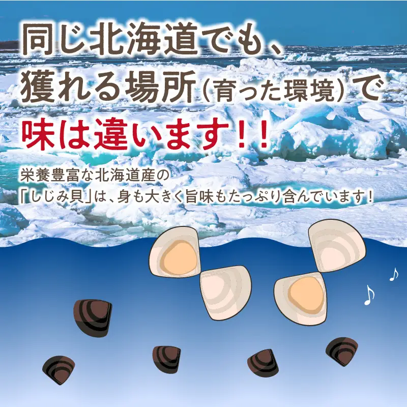 《14営業日以内に発送》北海道産 冷凍しじみ 500g×3袋 ( 魚介類 貝類 しじみ シジミ 1.5キロ 冷凍 カルシウム ビタミンB12 タウリン 鉄分 味噌汁 )【114-0076】