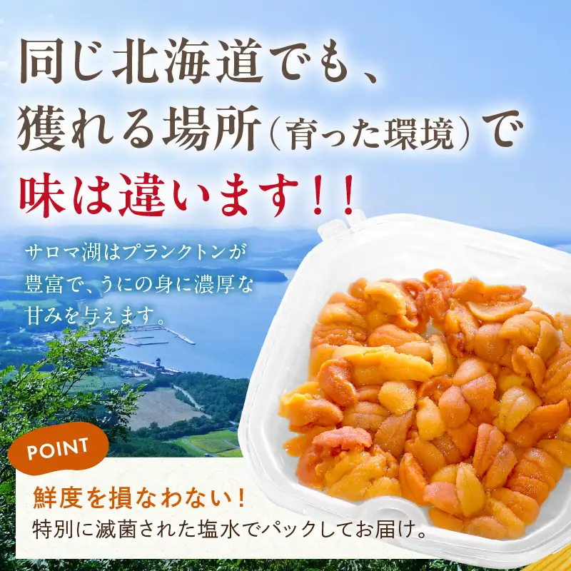 【予約：2027年4月中旬から順次発送】サロマ湖産 生うに ( 海鮮 雲丹 うに ウニ 塩水 生ウニ 生うに ウニ丼 エゾバフンウニ ムキ身 高級 1パック 期間限定 )【114-0006-2027】