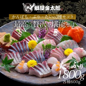 鰤屋金太郎【冷凍】ぶりたいかんぱちスキンレスロイン各種600g N018-YD0262-2