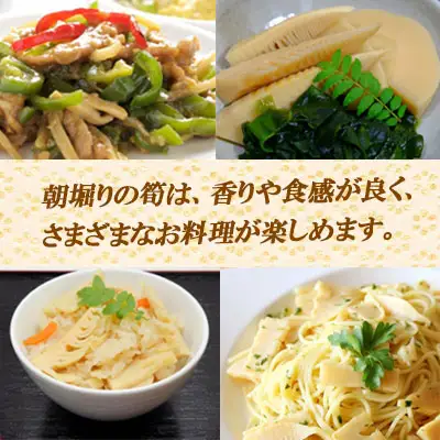 【数量限定】赤村産　朝掘り皮つき竹の子　約3kg S1