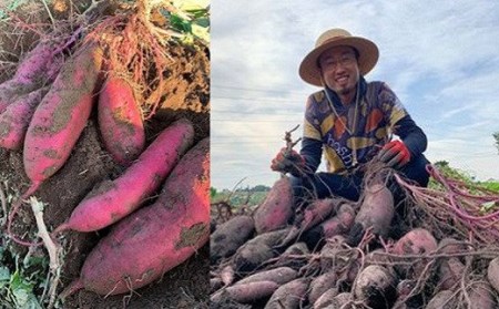 2026年9月内発送 干し芋「ほしいもの百貨」べにはるか 切り落とし (200g×6袋) K1939