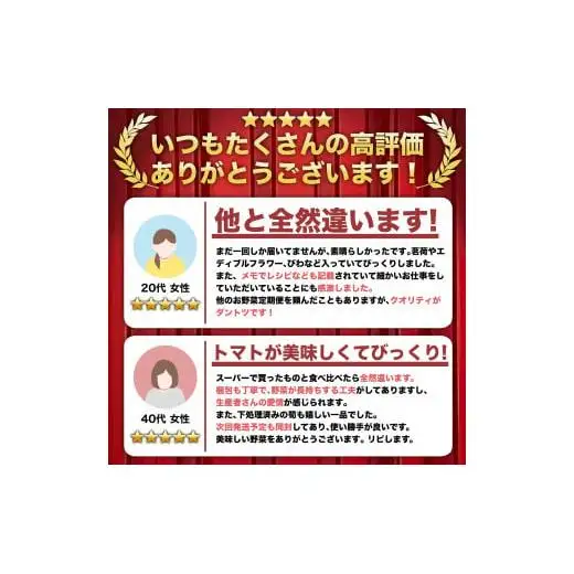 【 野菜 】 野菜定期便 12ヶ月
