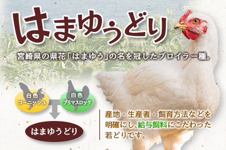 ＜2026年10月お届け＞安心・美味・新鮮のこだわりJAチキン［はまゆうどり］モモ・ムネセット 合計4kg 宮崎県産若鶏 チルド 冷蔵配送【B546-2608_2610】
