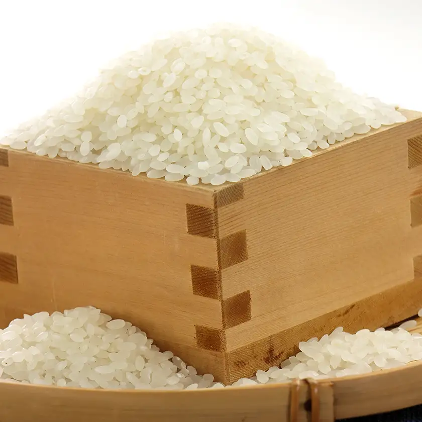 新米　令和8年産　特別栽培米あきたこまち　白米2kg【配送不可地域：離島・沖縄県】【1283155】