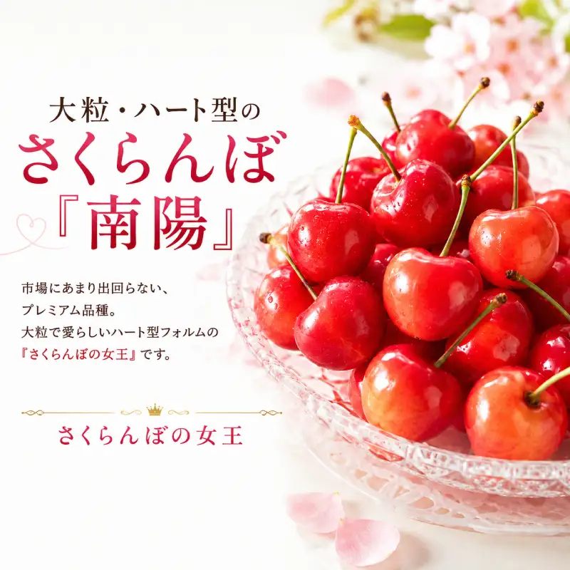 さくらんぼ 600g 南陽 Lサイズ以上 サクランボ