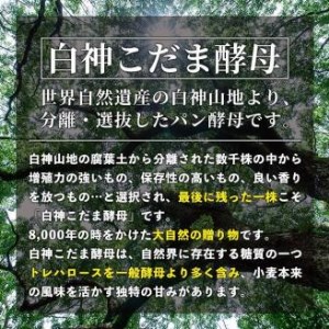 isa333 【定期便・全3回(3ヶ月連続)】プレーンベーグル(総計48個・16個×3回) 天然酵母 パン 国産 白神こだま酵母 ヒマラヤ岩塩 焼きたて 急速冷凍 ベーグル 牛乳・卵・バター不使用 ベーグルサンド 就労支援【工房あけぼの】