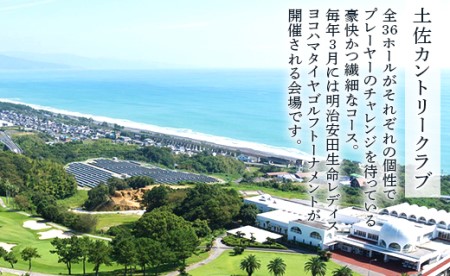 【ゴルフ＆宿泊プラン】土佐カントリークラブ(土日祝日) - ゴルフ プレー券 チケット 旅行 休暇 趣味 スポーツ 自然 温泉 黒潮ホテル 観光 プレイ ラウンド ゴルフ場 kg-0032