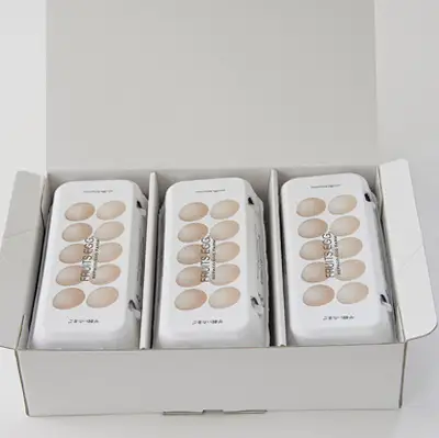 No.1898　REPACO GARDEN フルーツエッグ30個入