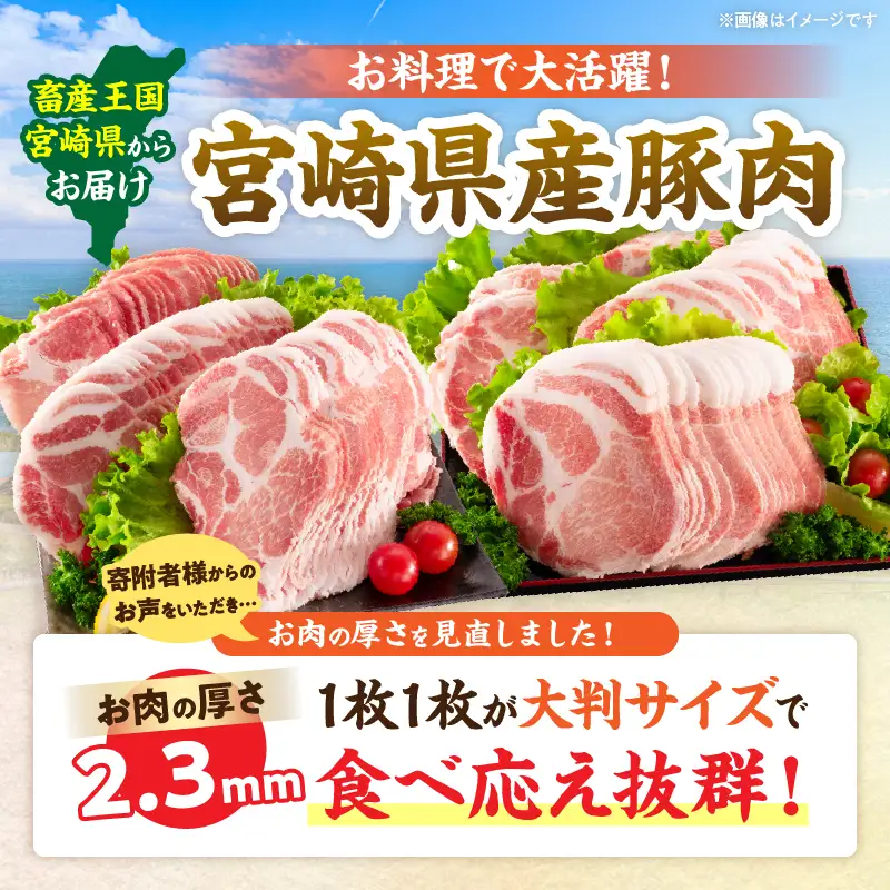 小分けで便利!! 数量限定 豚肩ロース スライス 計3kg_D126-26