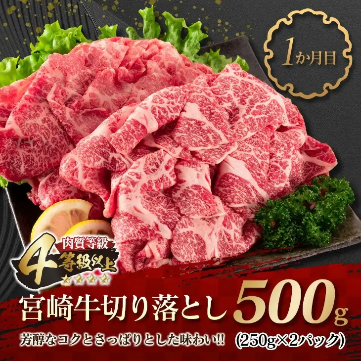 数量限定 3か月 お楽しみ 定期便 牛肉 豚肉 鶏肉 バラエティ セット 総重量5kg_FG13-26