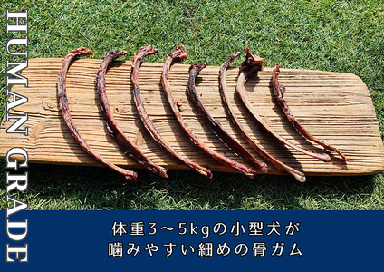 FB173_小型犬向け☆天然いのししの骨ガム200g【定期便】全6回
