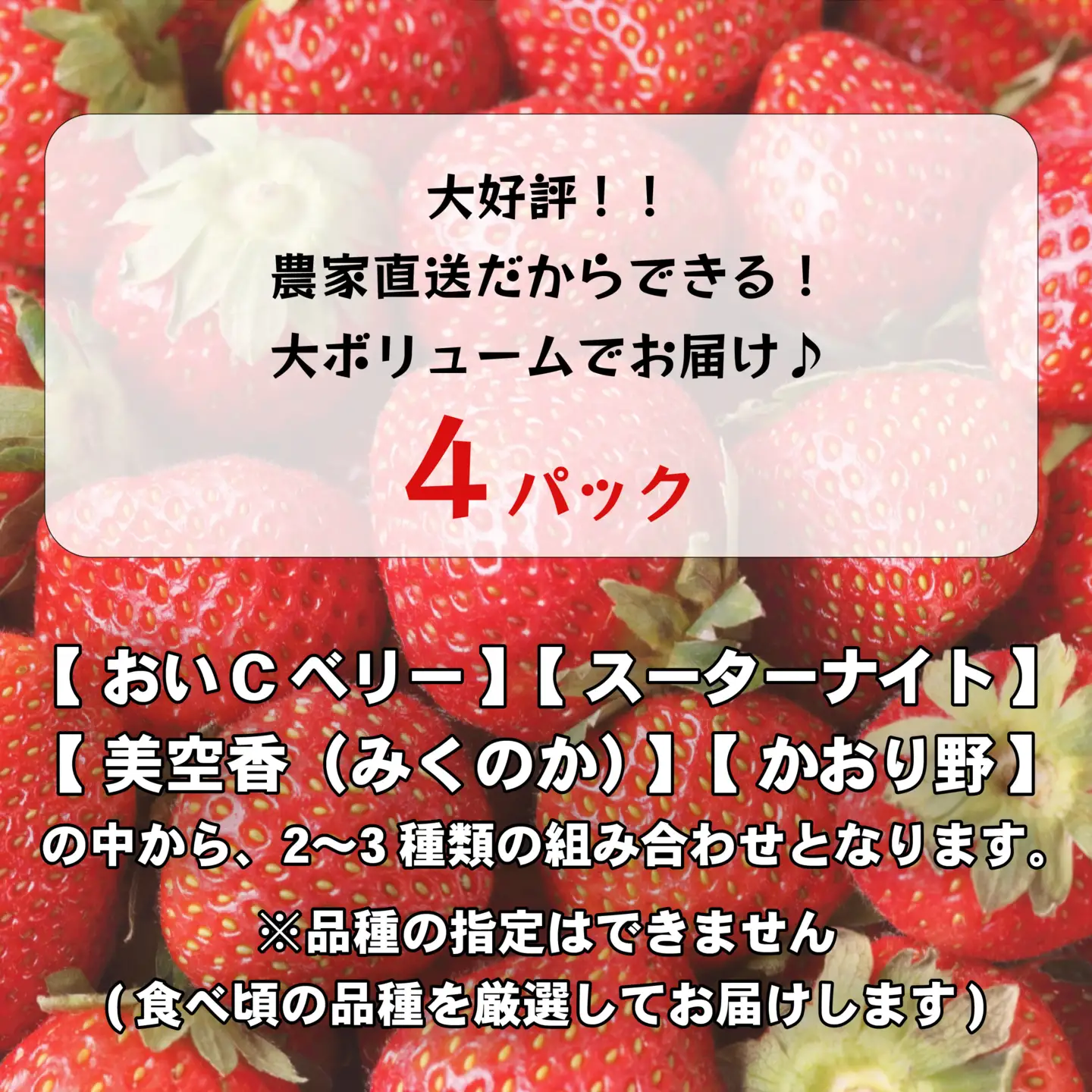 いちご 食べ比べ 4パック 【1月中旬から発送】いちご AJ002ya