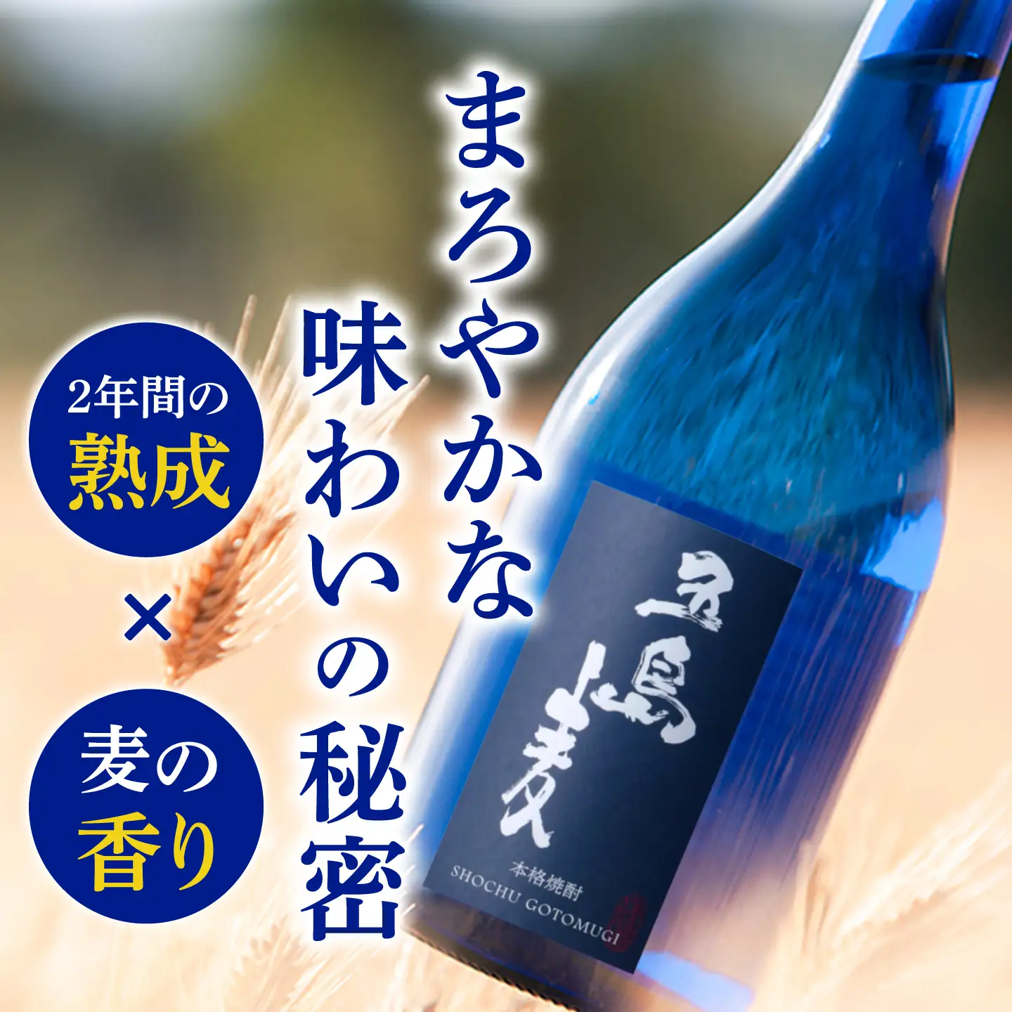 【3回定期便】【麦焼酎＆芋焼酎】五島麦25度720ml＆五島芋25度720ml（化粧箱）五島市/五島列島酒造[PAH009] お酒 焼酎 酒 アルコール セット