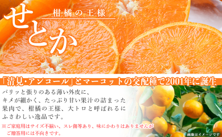 ＜愛媛県西予市産 せとか ご家庭用 約4kg＞ 訳あり 不揃い 傷 果物 フルーツ みかん ミカン 蜜柑 セトカ オレンジ 柑橘類 選べる 甘い 期間限定 食べて応援 特産品 宇都宮物産 【常温】『2027年2月下旬～4月上旬迄に順次出荷予定』UUB0008