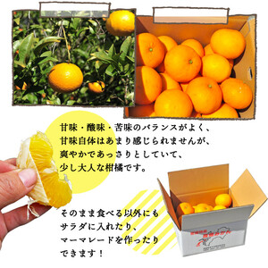 ＜愛媛県西予市産 甘夏 約8kg 家庭用＞ 果物 くだもの ミカン 柑橘 フルーツ あまなつ 産地直送 特産品 段畑みかん 愛媛県 西予市【常温】『2027年3月中旬～4月中旬迄に順次出荷予定』ADM0009