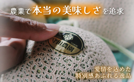 【春野菜 鮮度抜群 】富良野産 アスパラガス サイズ無選別 1kg×1箱｜北海道富良野市 4～5月上旬発送 シャキシャキ食感 贅沢 ギフト プレゼント アスパラ アスパラガス グリーンアスパラ 料理用 春季限定