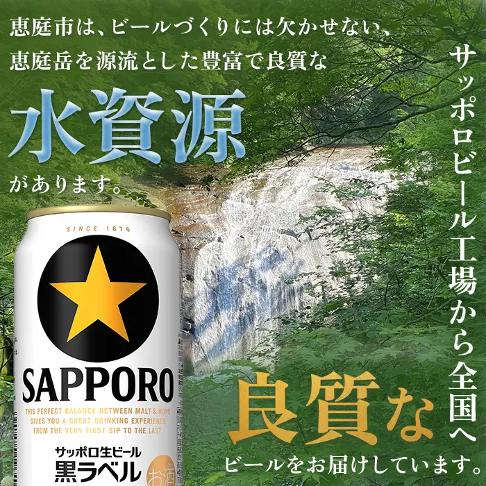 『定期便：全12回』黒ラベル350ml×24本【300040811912】