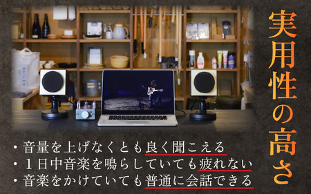 MHaudio 真空管アコースティックオーディオセット