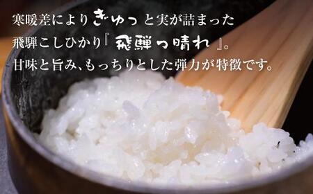 【定期便】こしひかり飛騨っ晴れ 玄米 10kg 6回 お届け 生産者直送 お米 コシヒカリ 飛騨産 飛騨高山 アグリランド  JF106